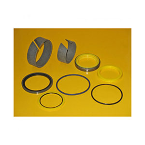 Caterpillar Seal Kit, 2384462